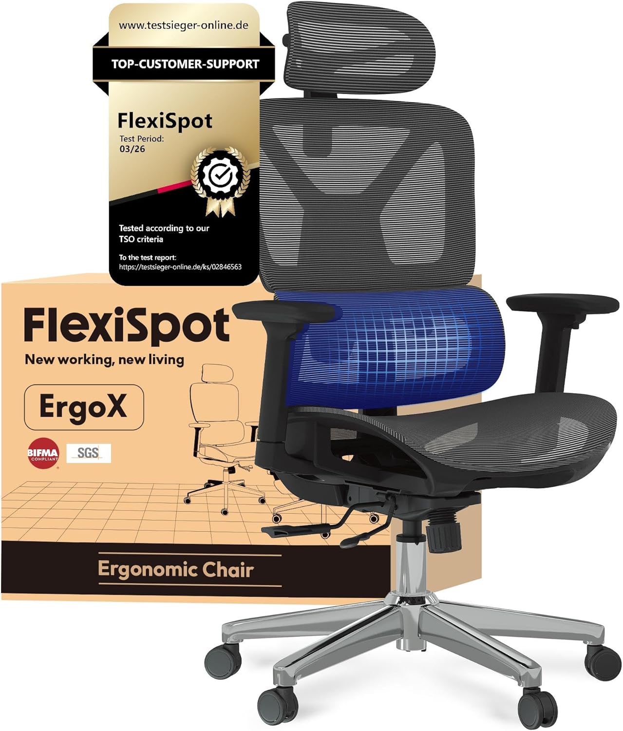 Flexispot FlexiSpot ErgoX